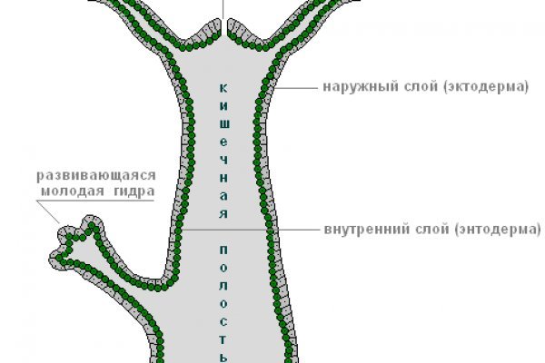 Кракен ссылка официальная в тор