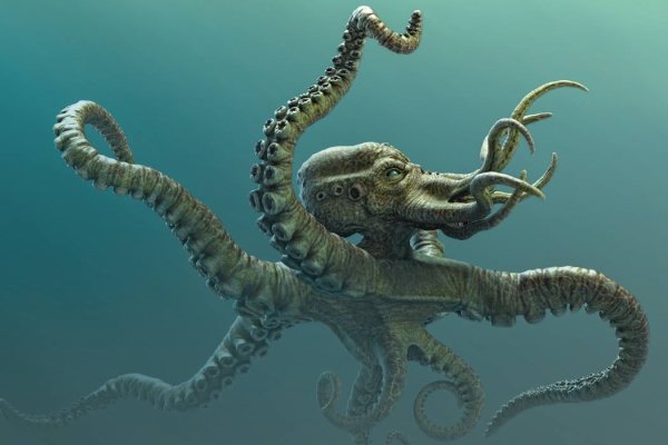 Официальный сайт kraken ссылки зеркала