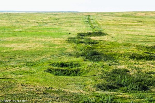 Кракен даркнет рабочая ссылка